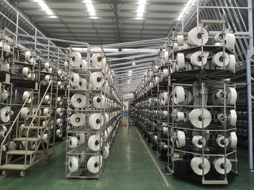 科技引领，创新赋能 纺织服装产业集群高质量发展沭阳论道