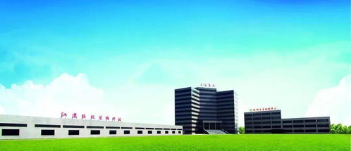 益生菌在家畜腹泻防治中的作用机制与应用研究——兼论纺织科技服务在农业领域的跨界启示