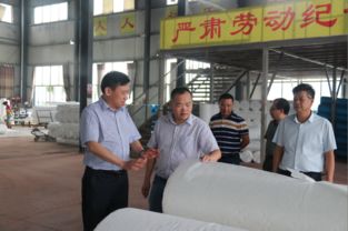 肖立新深入桃江县环宇纺织新材料科技走访调研，共谋纺织科技研究服务新篇章